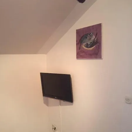 Studio Apartman Suzy 公寓 *